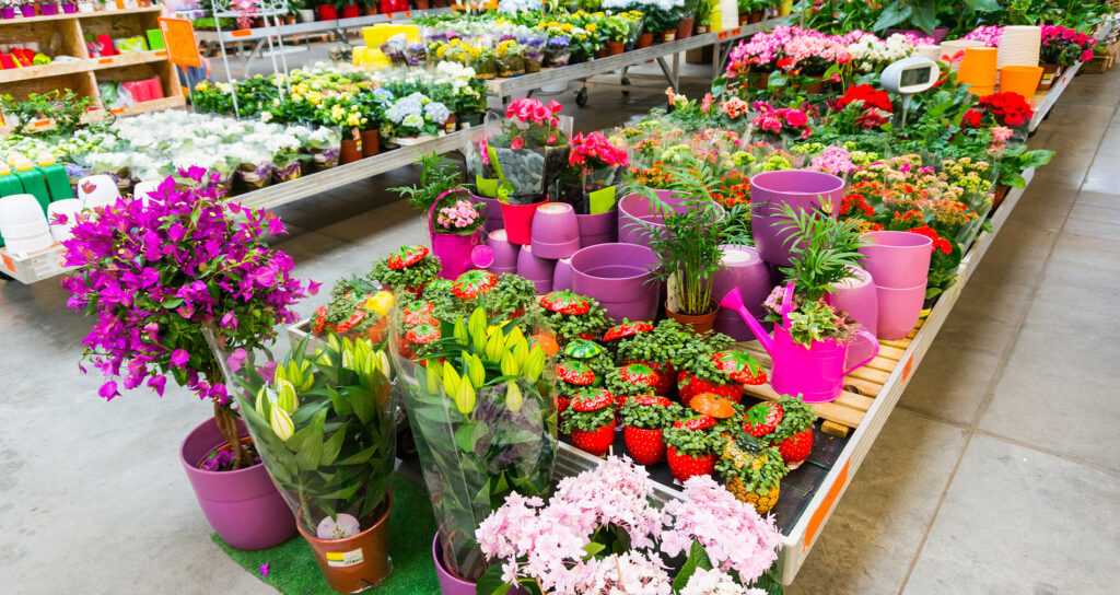 Come fa trasformare i tuoi clienti in soci