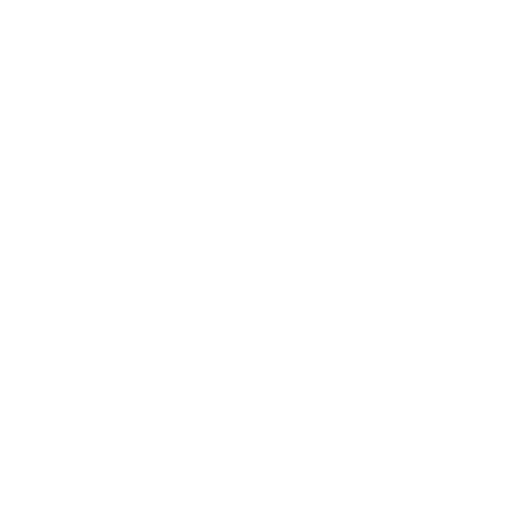 franchise investing